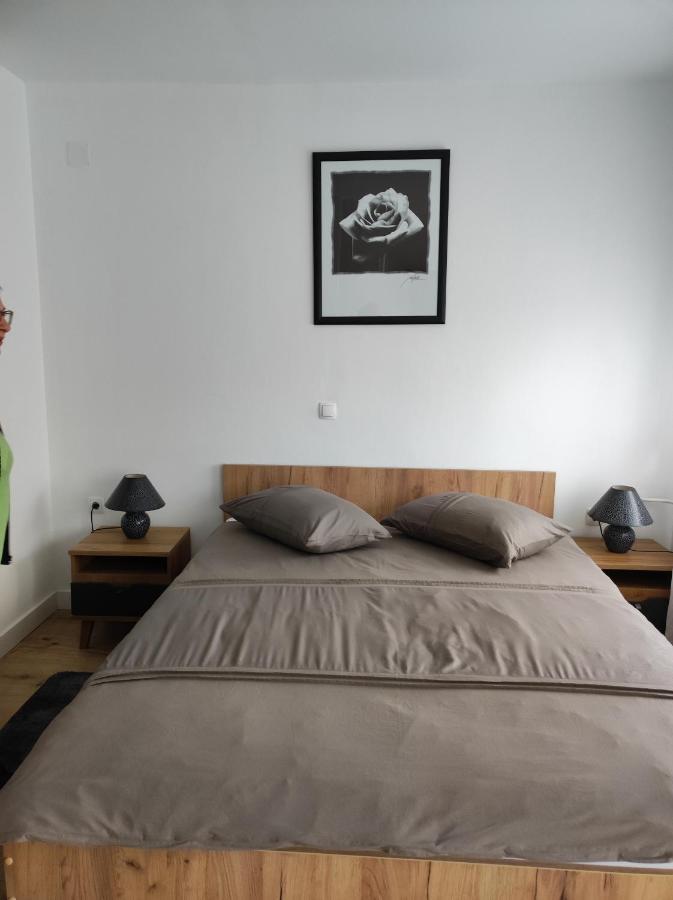 Studio Apartman Rose Leilighet Plitvička Jezera Eksteriør bilde